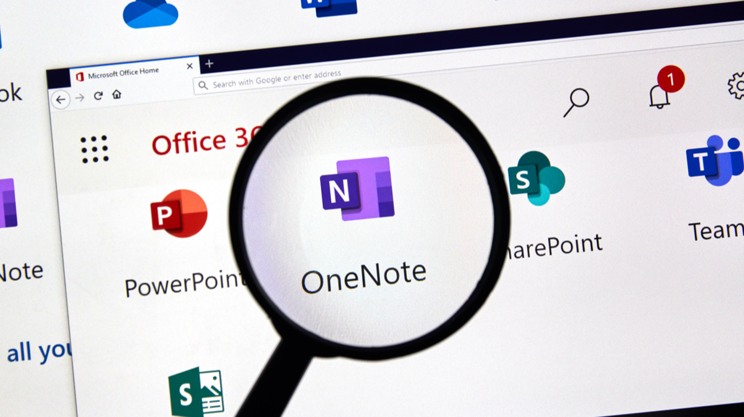 onenote-zoom.png